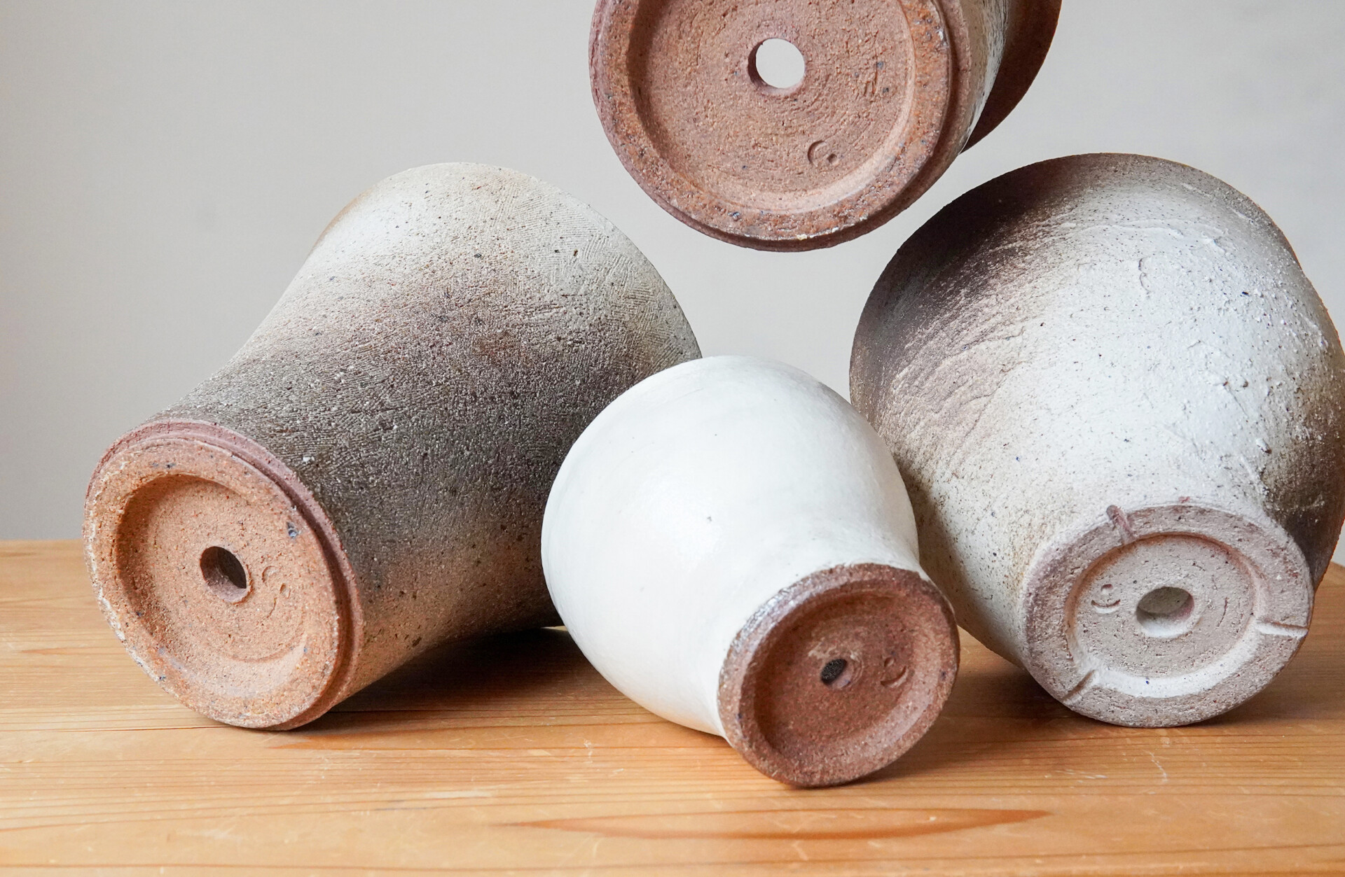 SAD 非常に希少な斑入り【コレクション株】【発根済】【作家鉢】【台湾】 aiba＋green 「鉢と緑」展より｜暮らしを彩る鉢たち | 相羽建設 くらし